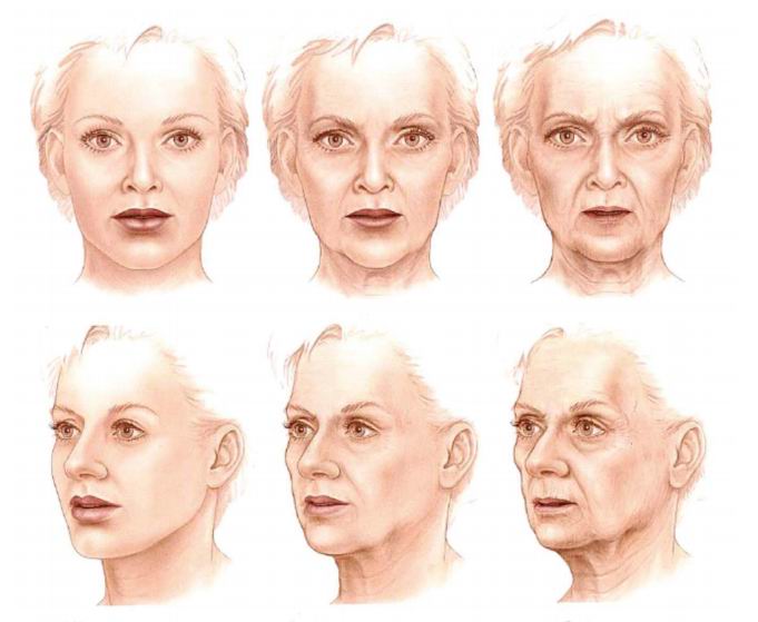 Fat Loss Face 22