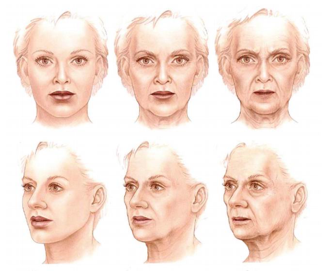 Fat Loss In Face 57