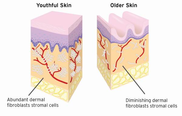 aging_skin03.jpg