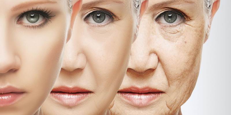 fat_loss_with_aging2.jpg